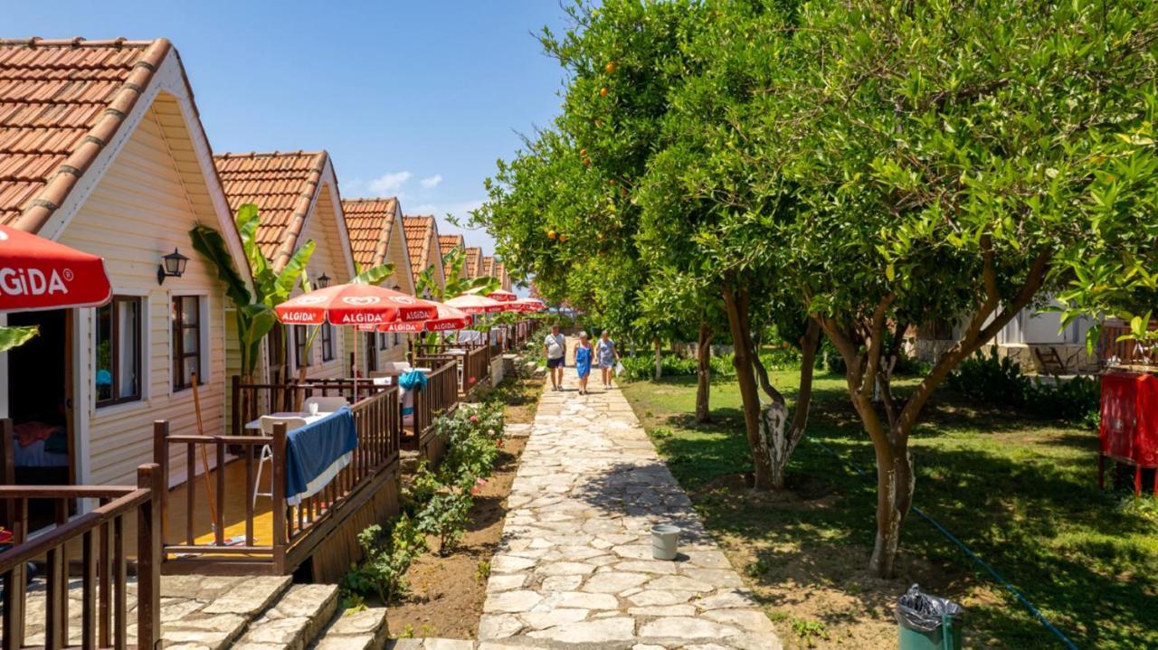 Clover Magic Nova Beach Hotel Side Luaran gambar
